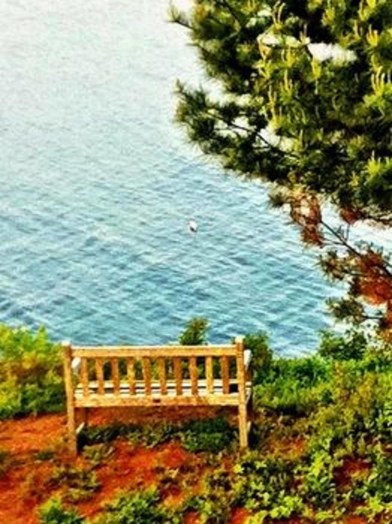Grey Havens Inn Georgetown Екстериор снимка